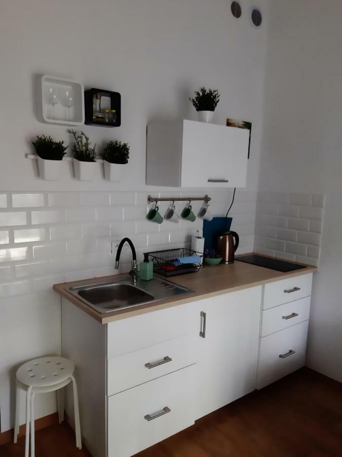 Apartament Nad Stara Odra Wroclaw Dış mekan fotoğraf